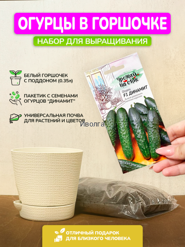Набор для выращивания "Огурцы" Набор для выращивания "Огурцы"